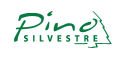 Pino Silvestre